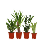 Makkelijke plantenbox 4x