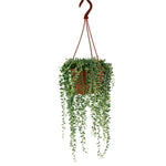 String of Beads (Hangpot)