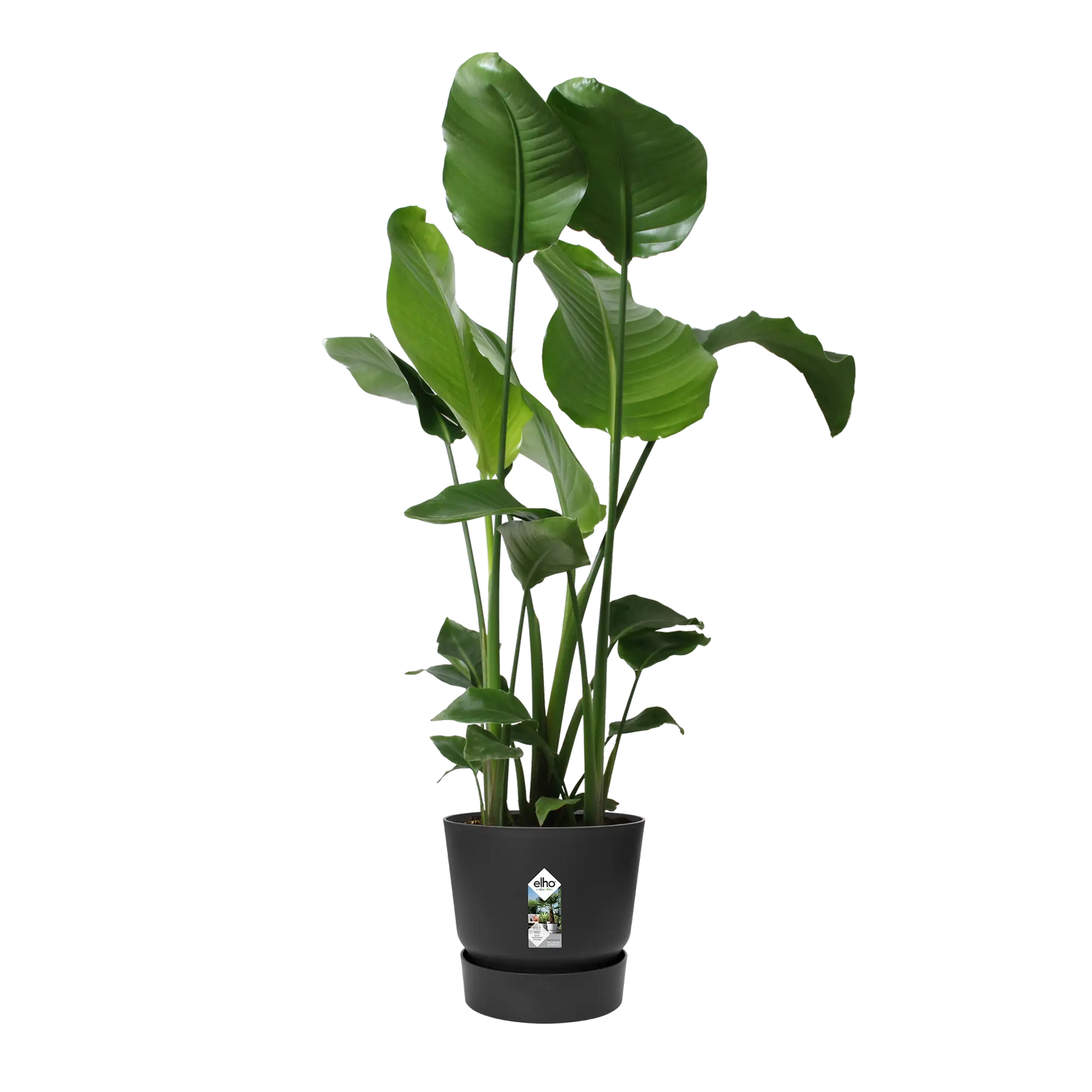 Pot elho Greenville Round zwart - Ø24cm