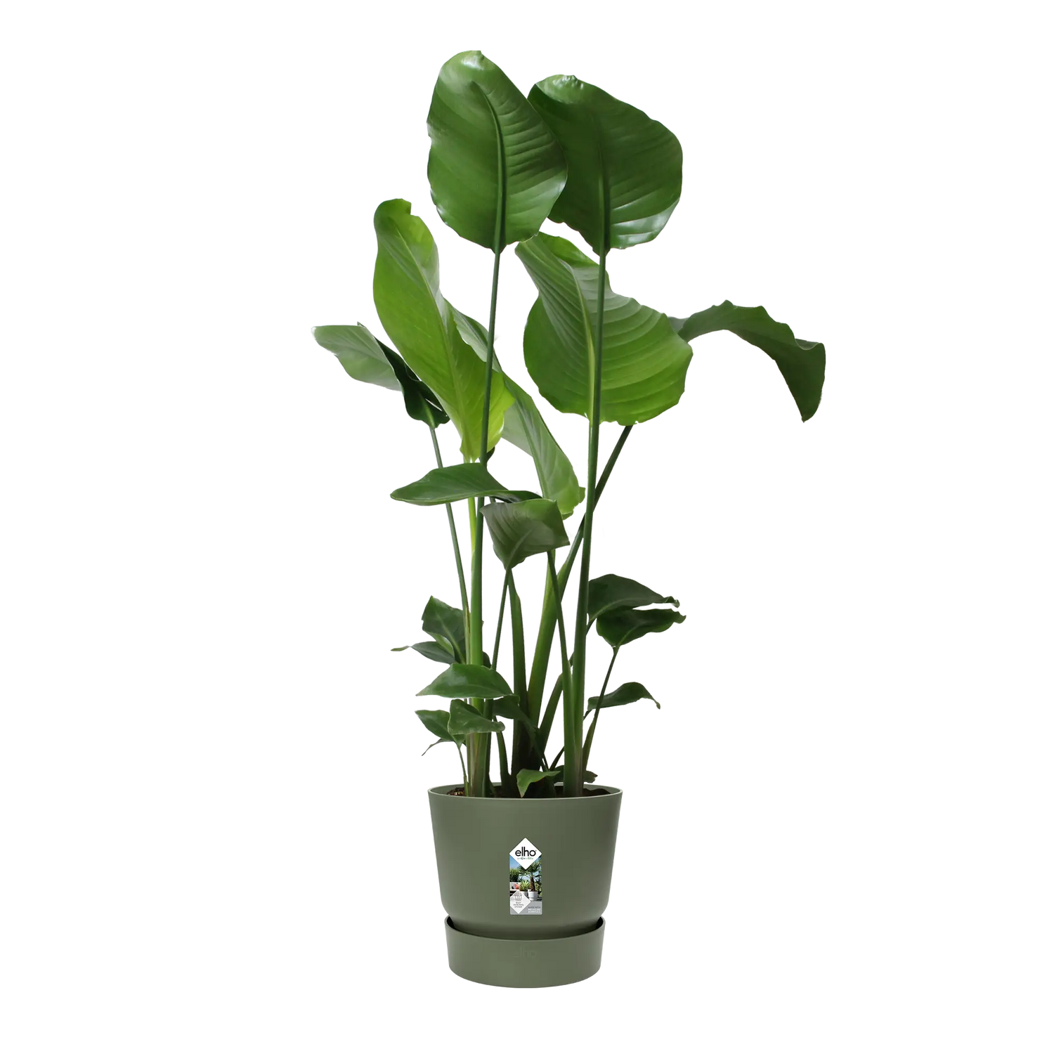 Pot elho Greenville Round groen - Ø24cm