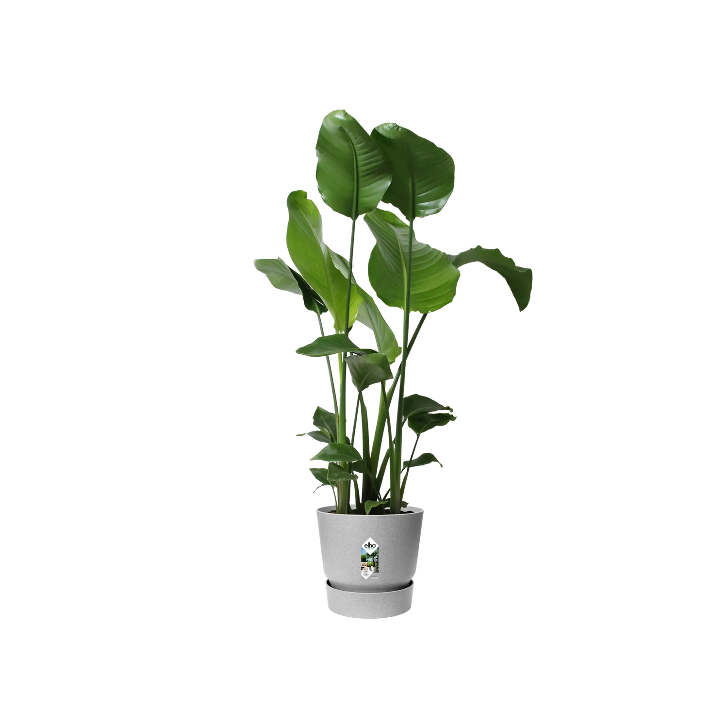 Pot elho Greenville Round grijs - Ø24cm