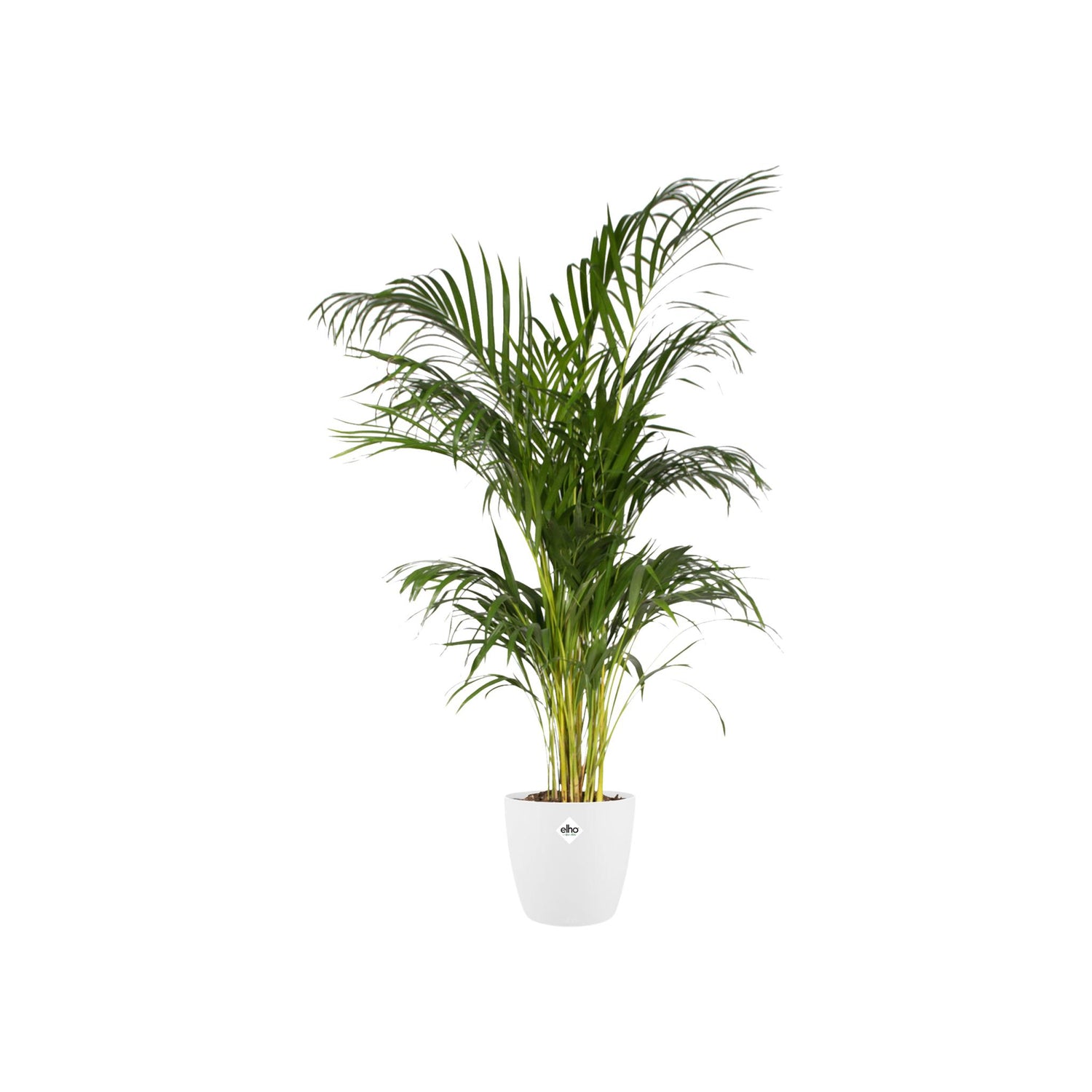 Pot elho Brussels Round Wit - Ø30cm