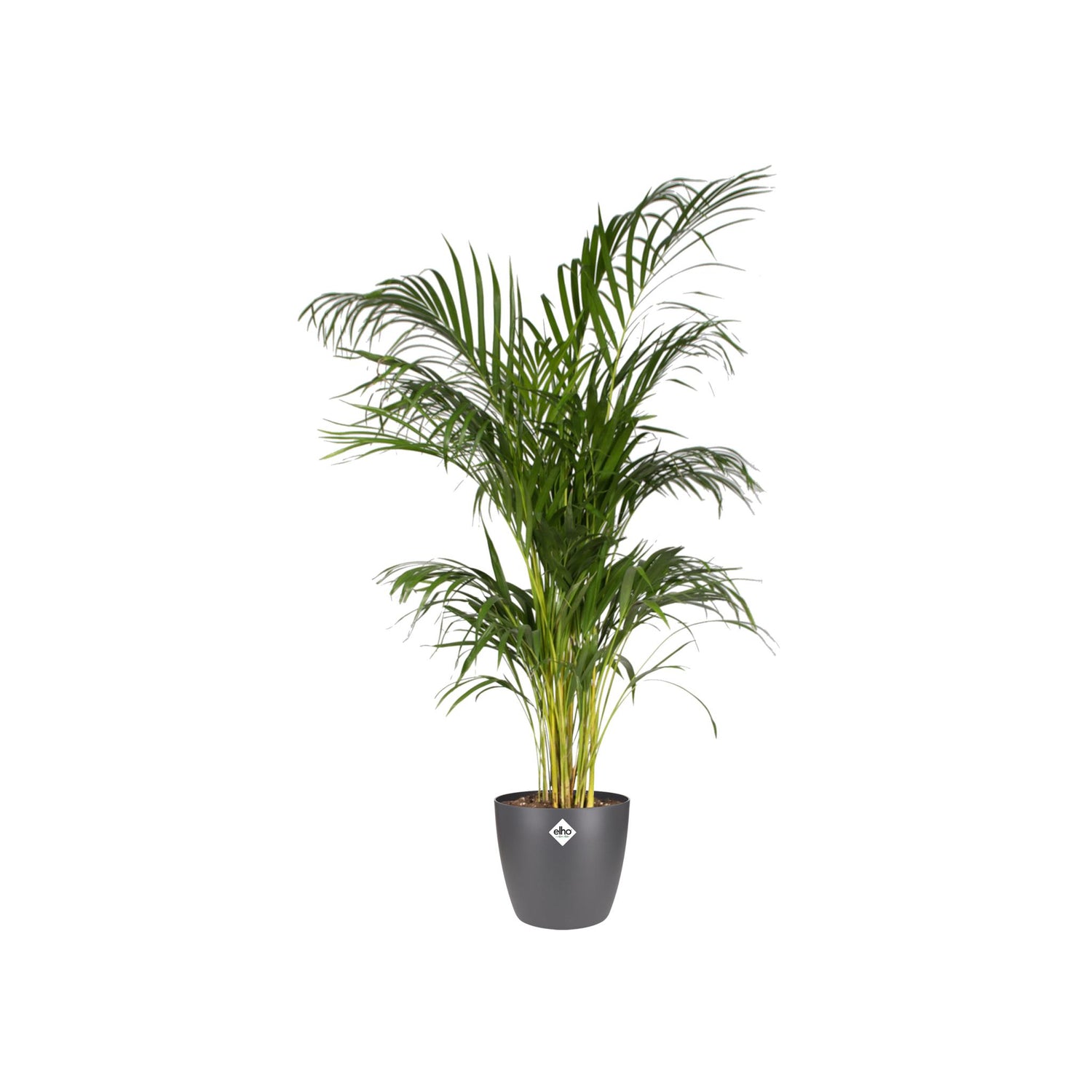 Pot elho Brussels Round Antraciet - Ø30cm