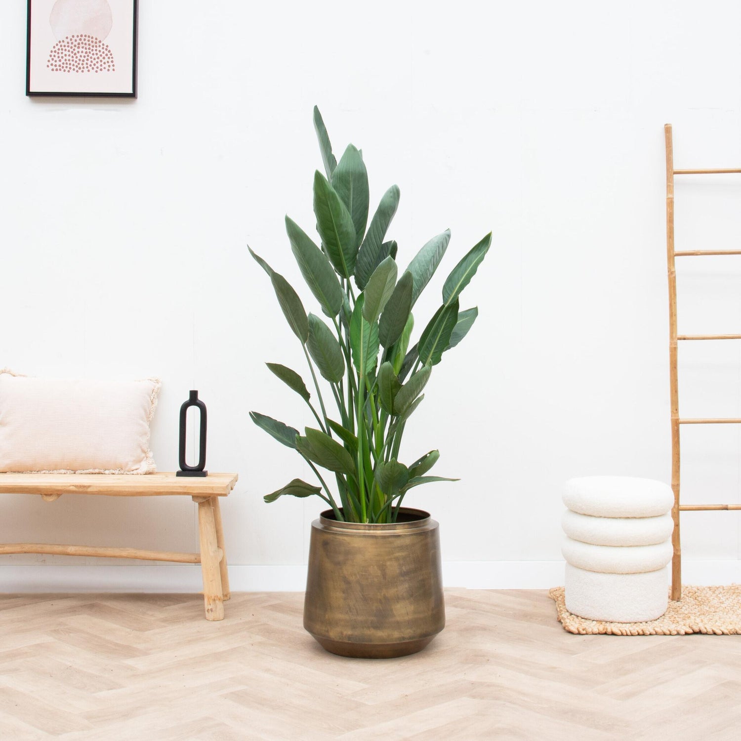 Pot Indigo Vintage Gold - Ø24cm